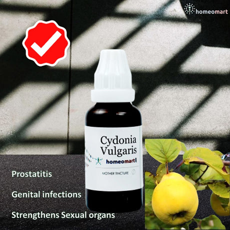Homeopathy Mother Tinctures in 30ml 100ml 450ml in SBL Schwabe