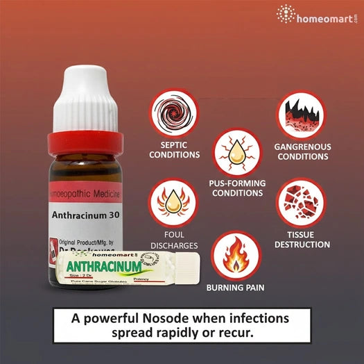 infographic showing sepsis, gangrene icons with anthracinum homeopathy medicine on red nackground