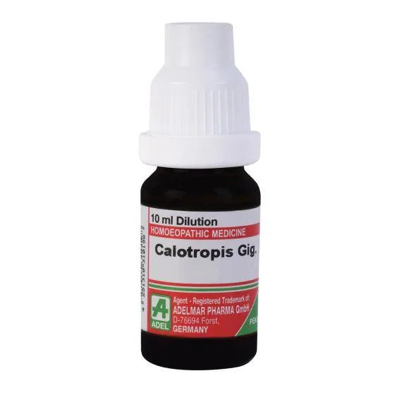 AdelCalotropisGiganteahomeopathydilution