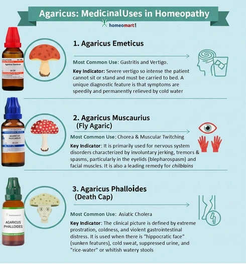 Infographic on Agaricus (mushroom) medicinal uses in homeopathy with illustrations and descriptions.