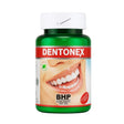 B.H.P DENTONEX Powder – Herbal Tooth Powder for Strong Gums & Fresh Breath