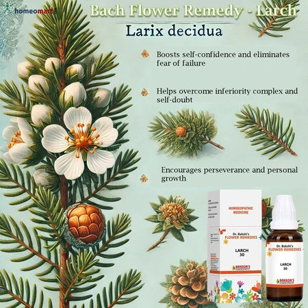Feel held back by self-doubt? Bach Flower Larch is your natural solution to boost confidence, eliminate fear of failure, and unlock your true potential