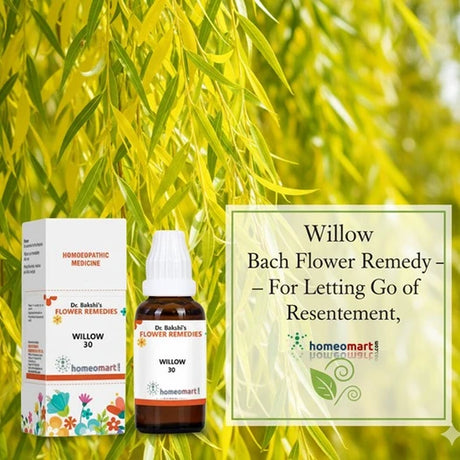 Willow Bach Flower Remedy bottle and packaging with willow leaves in the background