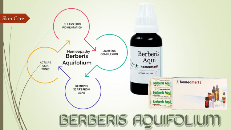 Berberis Aquifolium benefits for skin infographic with a medicinal bottle and pill