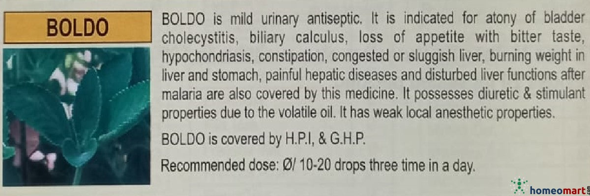 Boldo