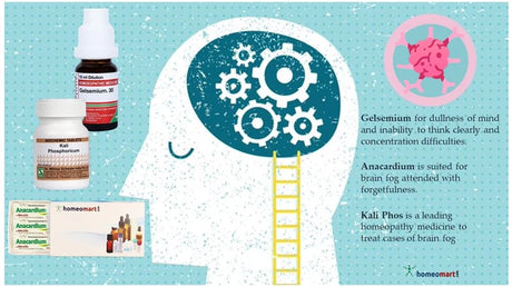 10 essential remedies to overcome  Brain Fog at home
