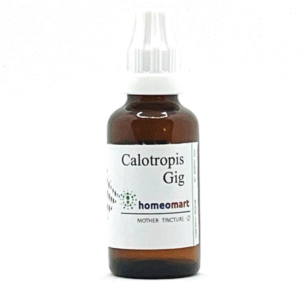 Calotropis Gigantea Homeopathy Mother Tincture Q