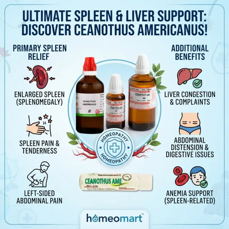 Ceanothus Americanus for enlarged spleen, Ceanothus Q for splenomegaly, homeopathy for enlarged spleen, Ceanothus for spleen pain, Ceanothus for left sided abdominal pain, Ceanothus for spleen tenderness, Ceanothus Americanus for liver complaints, Ceanothus for liver congestion, Ceanothus for abdominal distension,