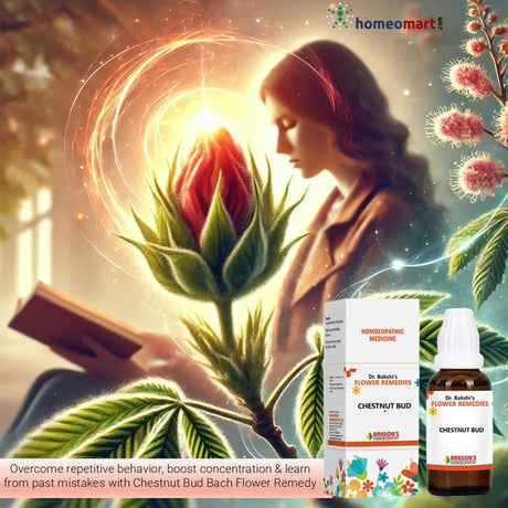 Stop repeating the same mistakes! Bach flower eremedy Chestnut Bud helps you observe, learn, and grow mentally