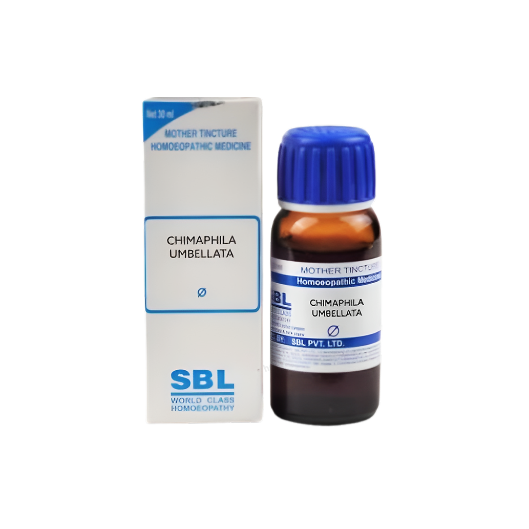 Chimaphila Umbellata Homeopathy Mother Tincture