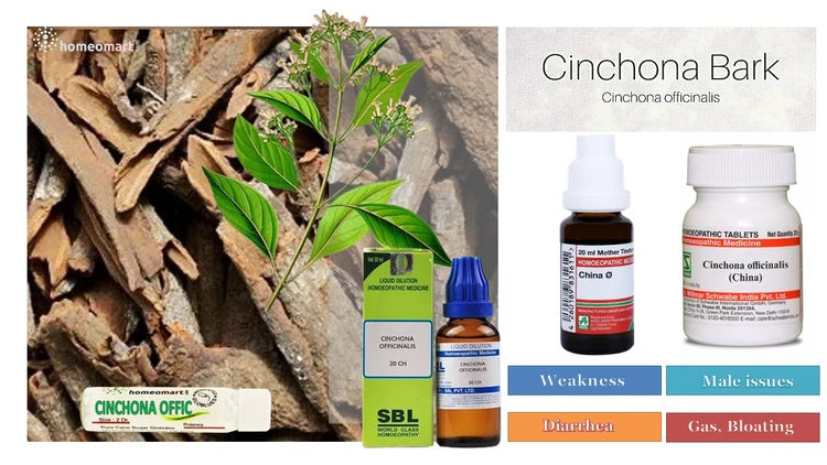 cinchona officinalis homeopathy, china officinalis uses, homeopathy for anemia, gas bloating remedy, weakness homeopathy medicine, quinine homeopathy dilution, china for diarrhea homeopathy, homeopathy for blood loss recovery