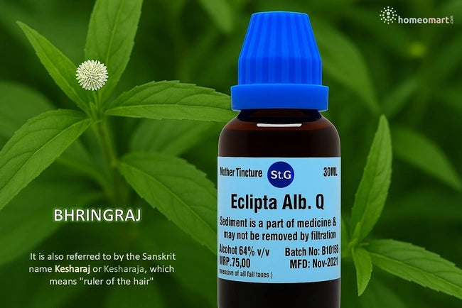 Bottle of Eclipta Alb. Q with blue cap on green leaf of Bhringraj background, Homeomart brand visible
