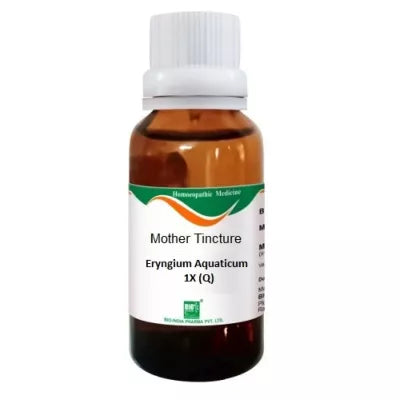 Eryngium Aquaticum Homeopathic Mother Tincture Q 