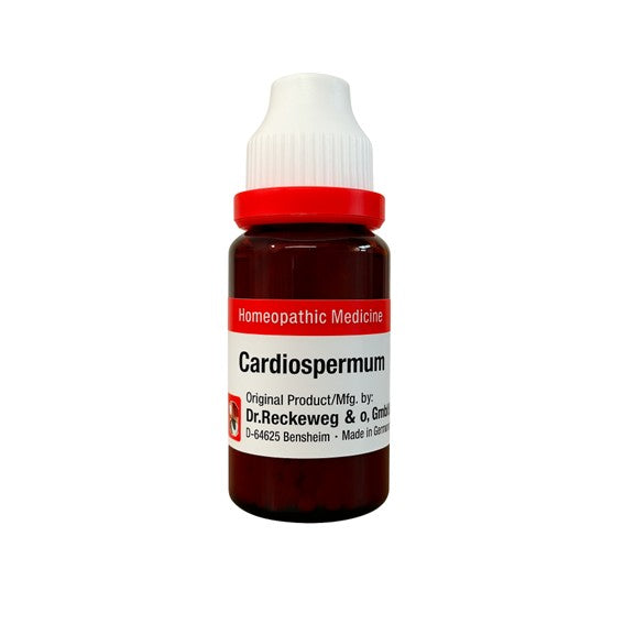 Cardiospermum German Homeopathy Mother Tincture