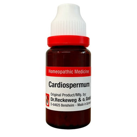 Cardiospermum Mother Tincture Q, German Cardiospermum Q, Cardiospermum Homeopathic Medicine, Balloon Vine Homeopathy, Cardiospermum for Eczema, Cardiospermum for Arthritis, Schwabe Cardiospermum Q,