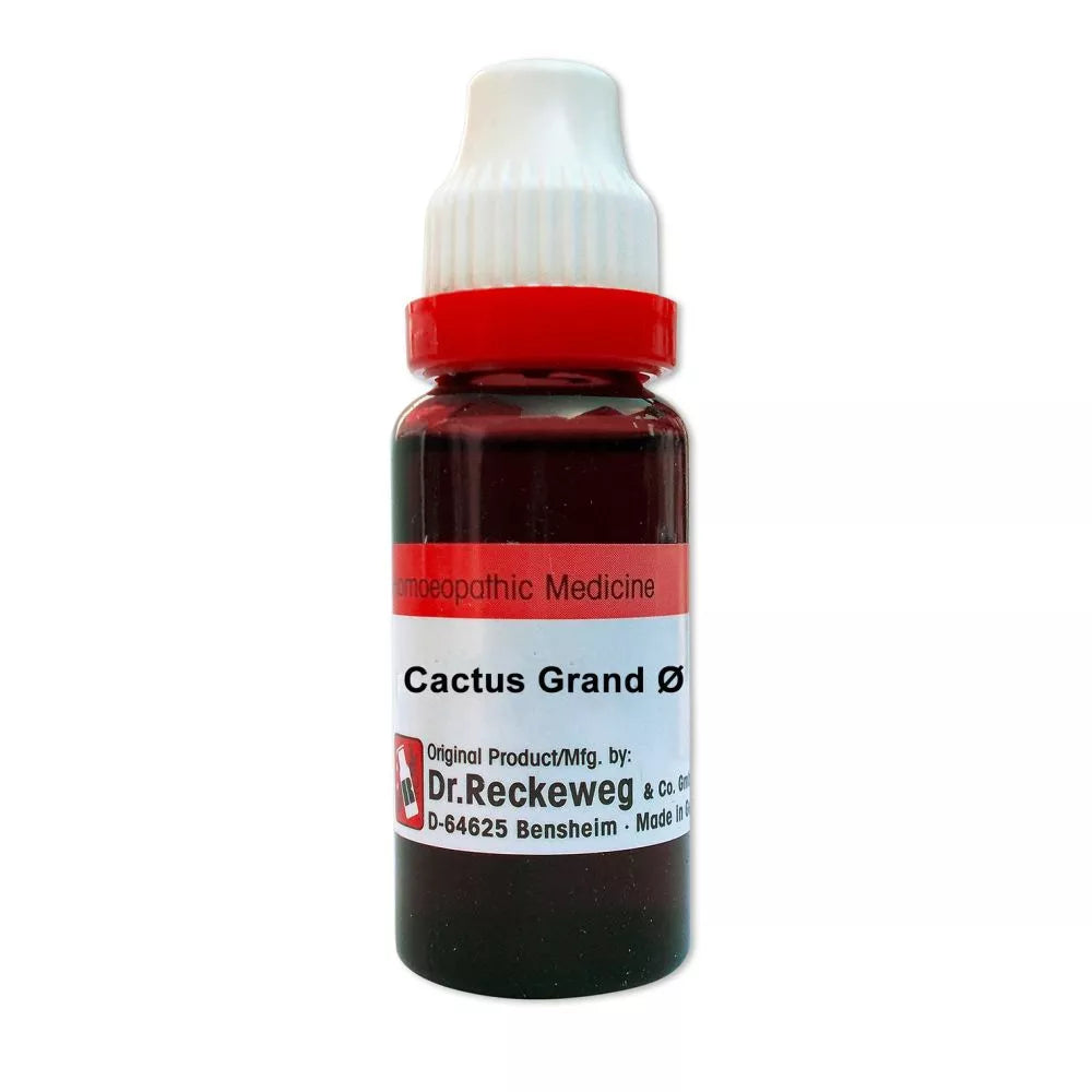 Reckeweg Cactus Grandiflorus tincture 20ml
