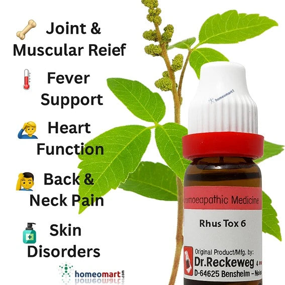 Bottle of Rhus Tox 6 homeopathic medicine with a plant and listed benefits on a white background