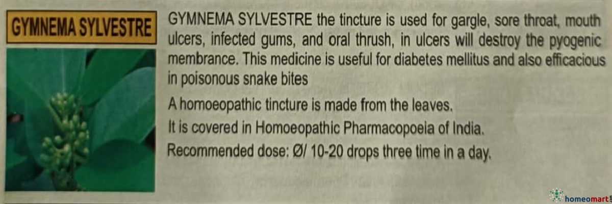 Gymnema sylvestre