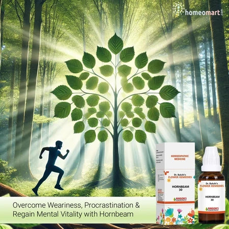 Overcome Weariness, Procrastination & Regain Mental Vitality with Hornbeam