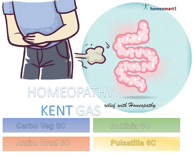 homeopathy for Individuals experiencing gas, bloating, or digestive discomfort seeking natural relief