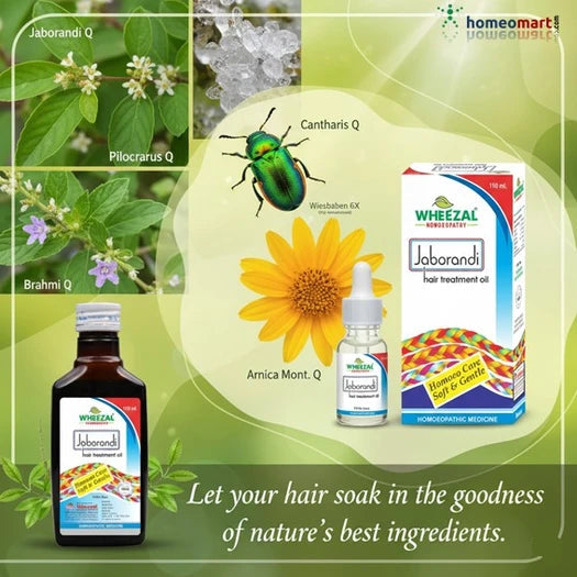 best herbal hair and scalp treatment oil India, Jaborandi hair treatement benefits, Wheezal, Jaborandi Hair Oil, Wheezal Jaborandi, Hair Treatment Oil, Homeopathic Hair Oil, Hair Care, Scalp Care, Hair Nourishment, Hair Fall Care, Hair Breakage Care, Dandruff Care, Dry Scalp Care, Jaborandi Q, Brahmi Q, Wiesbaden 6X, Cantharis Q, Arnica Montana Q, Homeopathic Personal Care, Hair Oil, Scalp Massage Oil