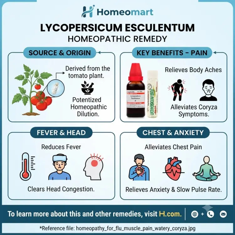 homeopathic pills for influenza body aches, homeopathic pills for watery coryza, homeopathic pills for dry night cough, homeopathic pills for head congestion, homeopathic pills for flu headache, homeopathic pills for muscular pain after flu,