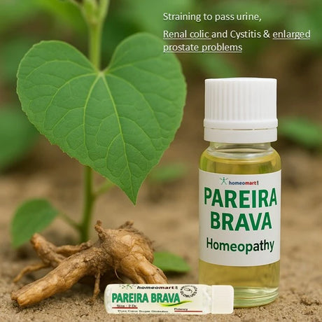 Pareira Brava Helps relieve straining, dribbling, and chronic retention of urine due to cystitis, renal colic, enlarged prostate, or urethral stricture.