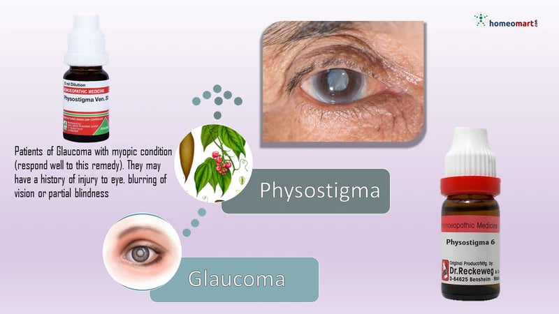 Physostigma, Calabar Bean, Eserinum eye health benefits infographic