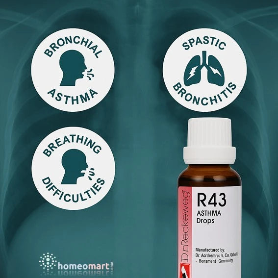 natural respiratory relief for bronchial asthma, spastic bronchitis, or breathing difficulties