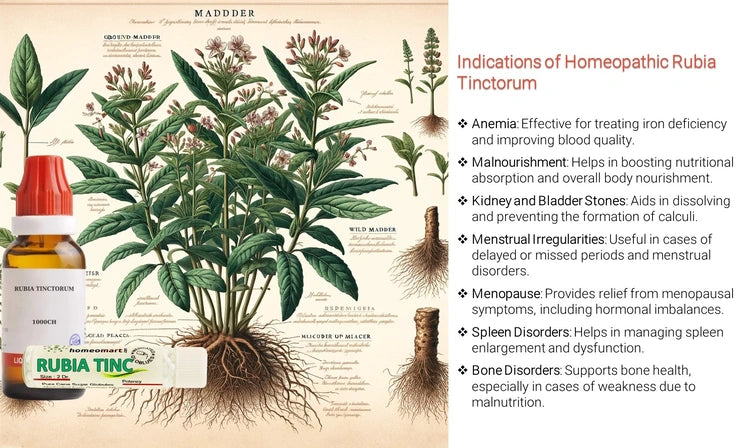 Homeopathic Rubia Tinctorum bottle with botanical illustration and uses listed.