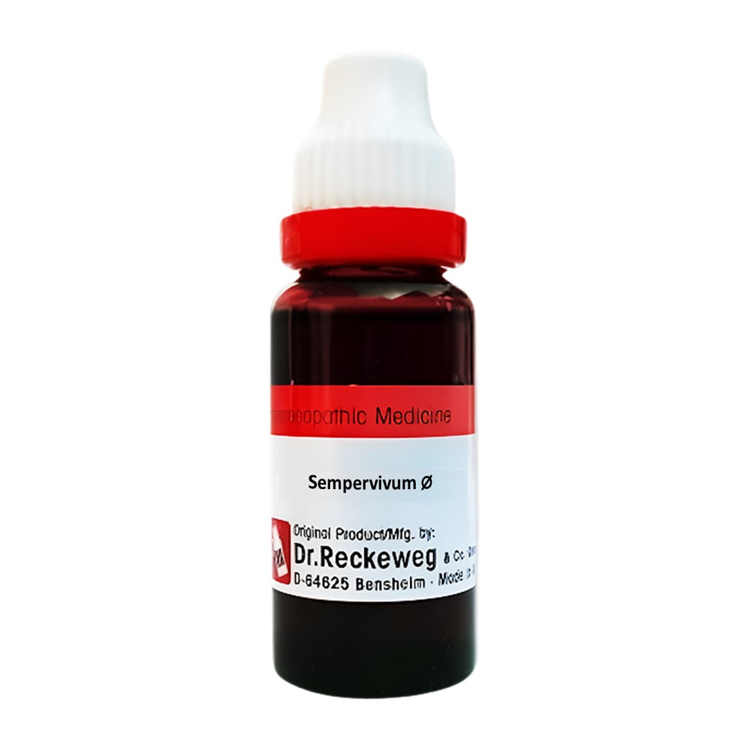 Sempervivum Tectorum Homeopathy Mother Tincture Q
