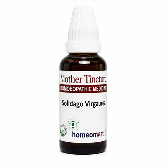 Solidago Virgaurea Q, Mother Tincture, Golden Rod, Goldenrod, Homeopathy, Homeopathic Medicine, Kidney Support, Urinary Support, Urinary Complaints, Kidney Pain, Kidney Tenderness, Difficult Urination, Scanty Urine, Dysuria, Offensive Urine, Bladder Symptoms, Prostate Support,