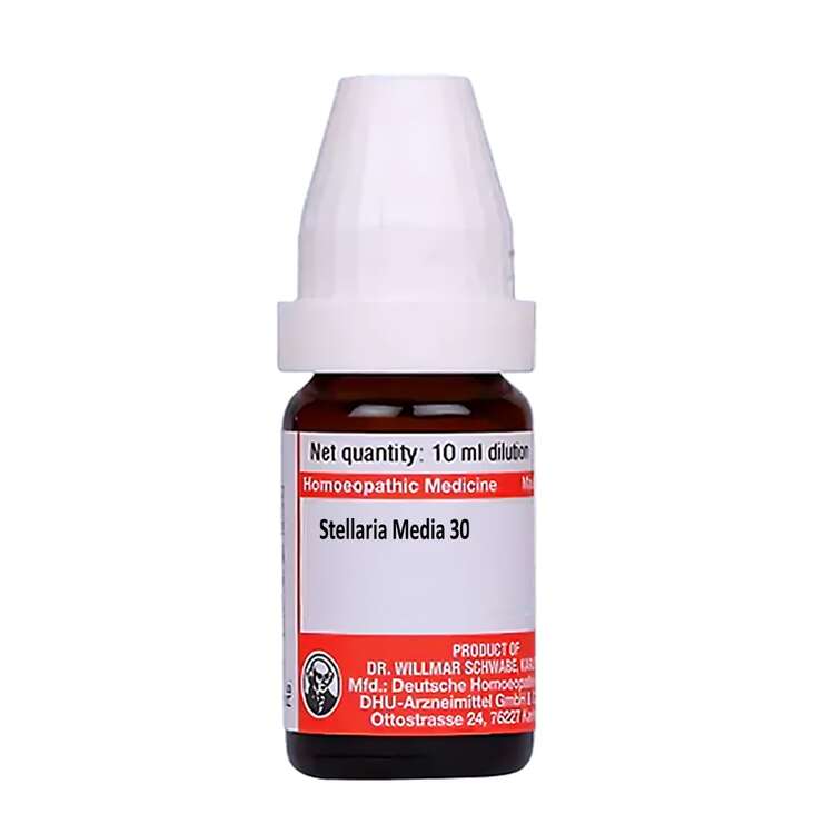German Stellaria Media Homeopathy Dilutions 6C, 30C, 200C, 1M, 10M