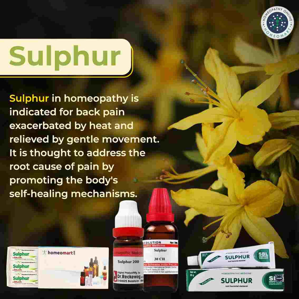 sulphur homeopathy medicine uses