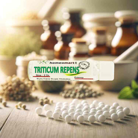 Triticum Repens, also known as Couch Grass or Agropyron Repens Homeopathy Pills