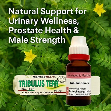 Unlock the power of Tribulus Terrestris – a trusted homeopathic remedy for urinary relief, prostate wellness, muscle strength, and enhanced male performance. Safe, natural, and effective