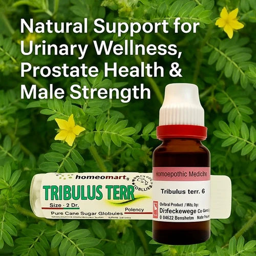Unlock the power of Tribulus Terrestris – a trusted homeopathic remedy for urinary relief, prostate wellness, muscle strength, and enhanced male performance. Safe, natural, and effective