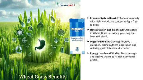 Wheat grass benefits for the whole body