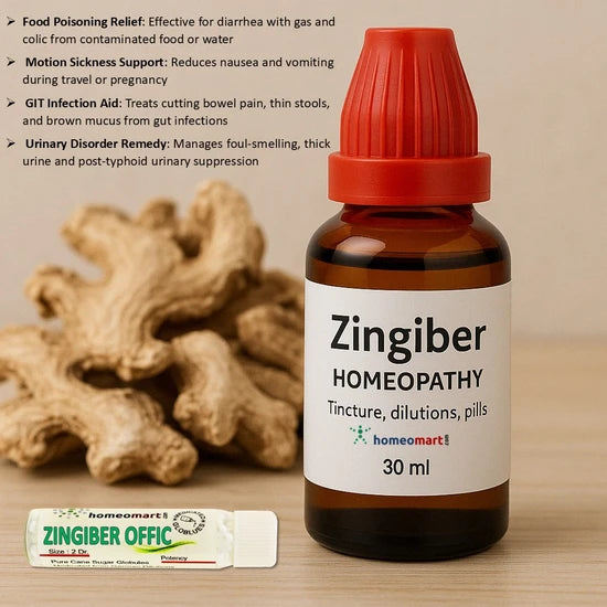 Zingiber Officinale, derived from the dried root of ginger, is a powerful homeopathic remedy with a wide range of therapeutic applications. Known for its carminative, stimulant, and anti-inflammatory properties, this medicine is effective in addressing gastrointestinal, respiratory, and urinary issues, as well as sexual health concerns.