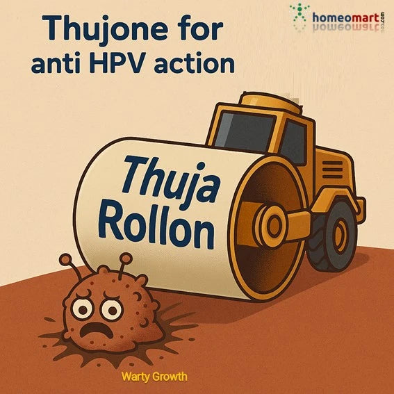 Thuja Occ has thujone known for its  anti HPV action in removing warts