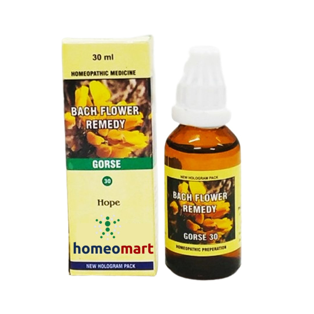 Hahnemann Bach Flower Remedy , Bach Flower therapy, natural mood support remedy, emotional support flower remedy, Bach Flower for chronic emotional stress, Bach Flower for confidence and hope, Bach Flower wellness dropsGorse