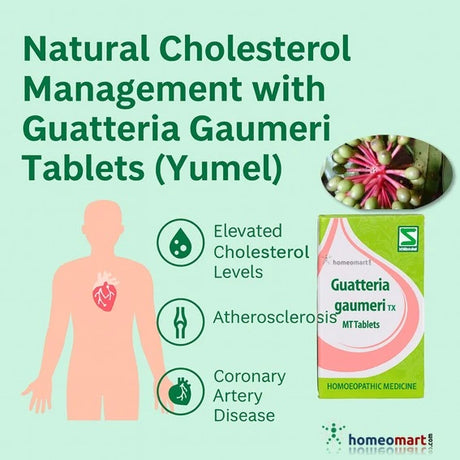 Natural Cholesterol Management with Guatteria Gaumeri Tablets (Yumel plant)
