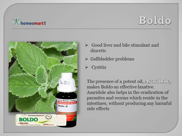 Homeopathy product for Boldo with leaves on a gray background and health benefits