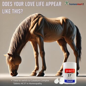 top impotence medicine