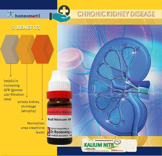 Kidney failure treatment without dialysis