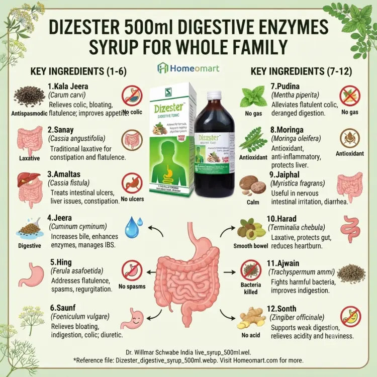Dizester Digestive Tonic pound packaging and bottle on a white background