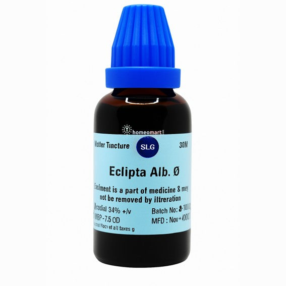 Bottle of Eclipta Alba Q homeopathic medicine with blue cap on a white background