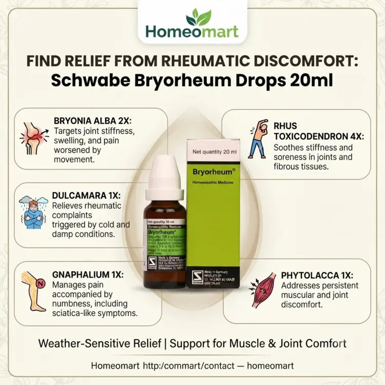 Schwabe, Bryorheum, Bryorheum Drops, rheumatism, rheumatic pain, joint discomfort, joint stiffness, muscle pain, joint pain, arthritis support, homeopathy, German homeopathy, Bryonia Alba, Rhus Tox, Dulcamara, Phytolacca, Gnaphalium, weather sensitive pain, cold damp weather, 20ml drops