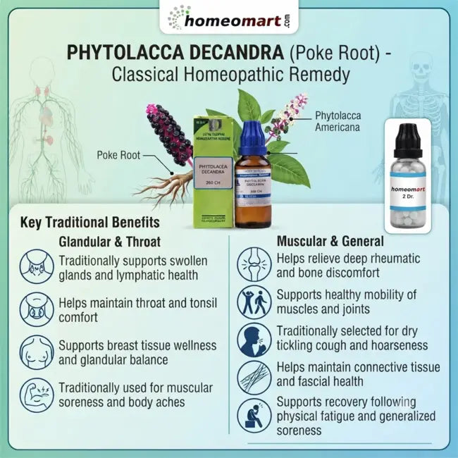 homeopathic medicine for swollen lymph glands, homeopathic remedy for enlarged tonsils, natural remedy for sore throat and painful swallowing, homeopathy for recurrent tonsillitis, homeopathic medicine for glandular swelling, homeopathic remedy for breast tenderness, homeopathy for mastitis support, natural remedy for lymphatic support, homeopathic medicine for body aches and soreness,