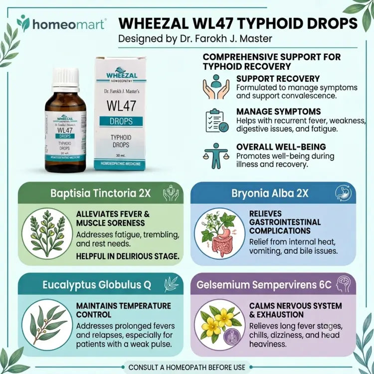 wheezal wl47 drops uses, natural typhoid support, wheezal typhoid drops, buy typhoid medicine online, typhoid fever remedy, homeopathic fever medicine, typhoid support formula